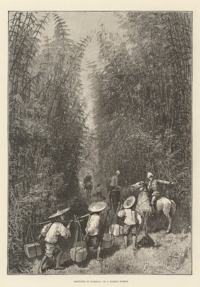 Sketches in Formosa, in a Bamboo Forest by Amedee Forestier